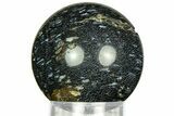 Polished, Black Petrified Palm Root Sphere - Indonesia #311563-1